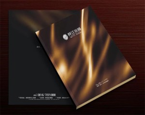 【高端樓書設計制作】售樓處房地產宣傳畫冊怎么做高檔簡約大氣!