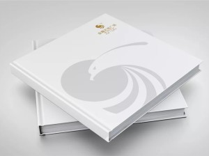 商業(yè)廣場樓書設計-房地產企業(yè)招商投資宣傳畫冊設計制作案例賞析!