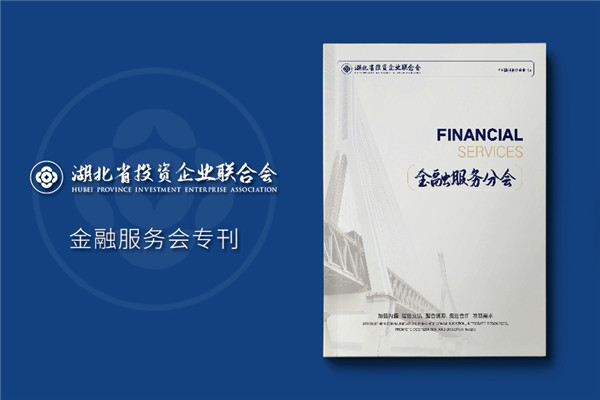 金融服務(wù)協(xié)會(huì)及知識產(chǎn)權(quán)雜志排版-企業(yè)文件內(nèi)刊回憶錄