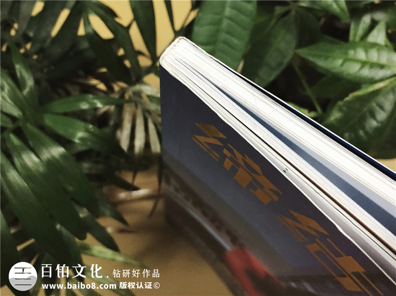 《締結(jié)》期刊雜志印刷制作-企業(yè)內(nèi)刊設(shè)計