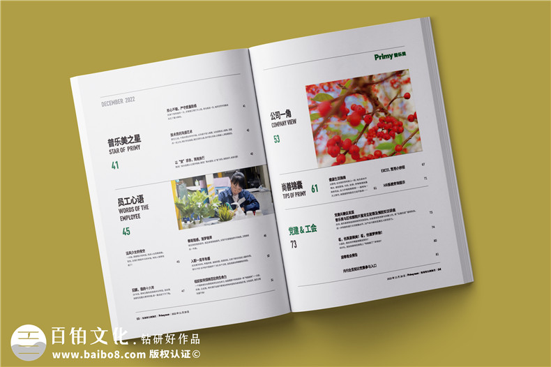 企業(yè)內(nèi)部期刊設計有哪些內(nèi)容版塊可以策劃第2張-宣傳畫冊,紀念冊設計制作-價格費用,文案模板,印刷裝訂,尺寸大小