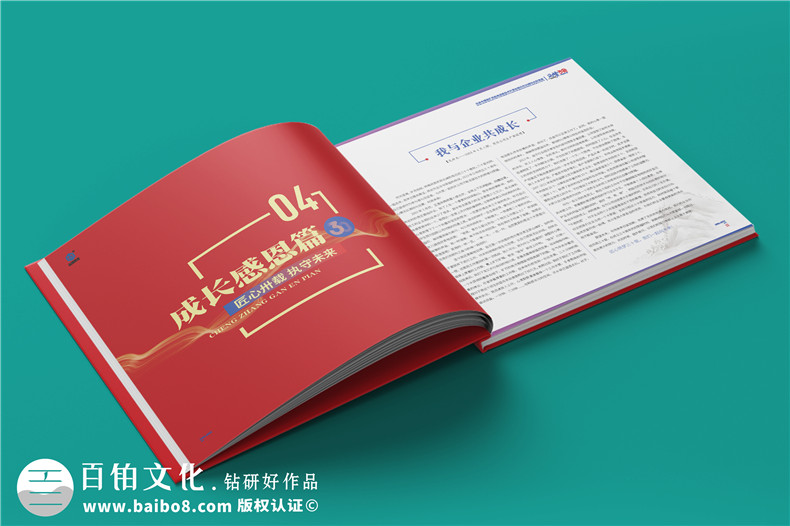 集團(tuán)30周年手冊-機(jī)電機(jī)械公司30周年畫冊