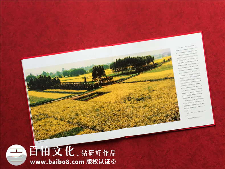 周年校慶紀(jì)念畫冊(cè)制作 設(shè)計(jì)學(xué)校校慶畫冊(cè)記錄那些年母校的崢嶸歲月！