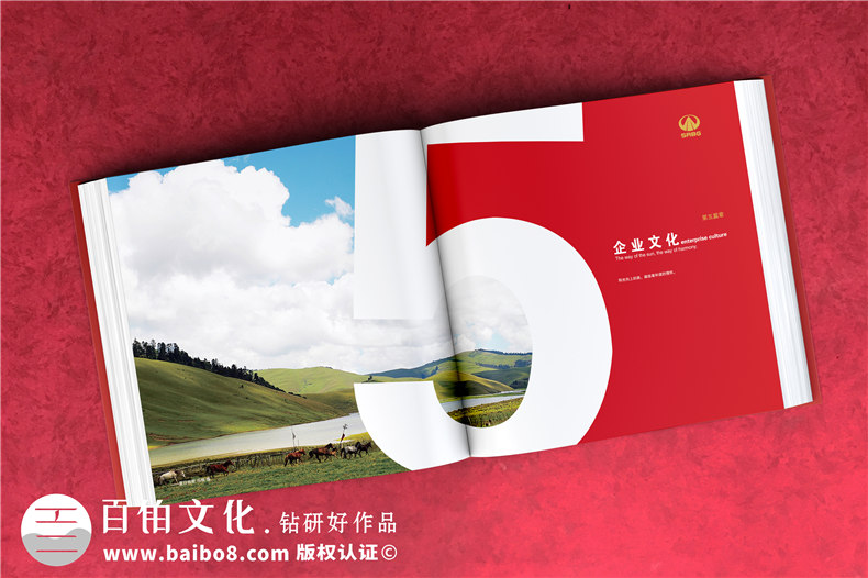 川交路橋木里項(xiàng)目專刊設(shè)計(jì)制作-企業(yè)活動紀(jì)念冊