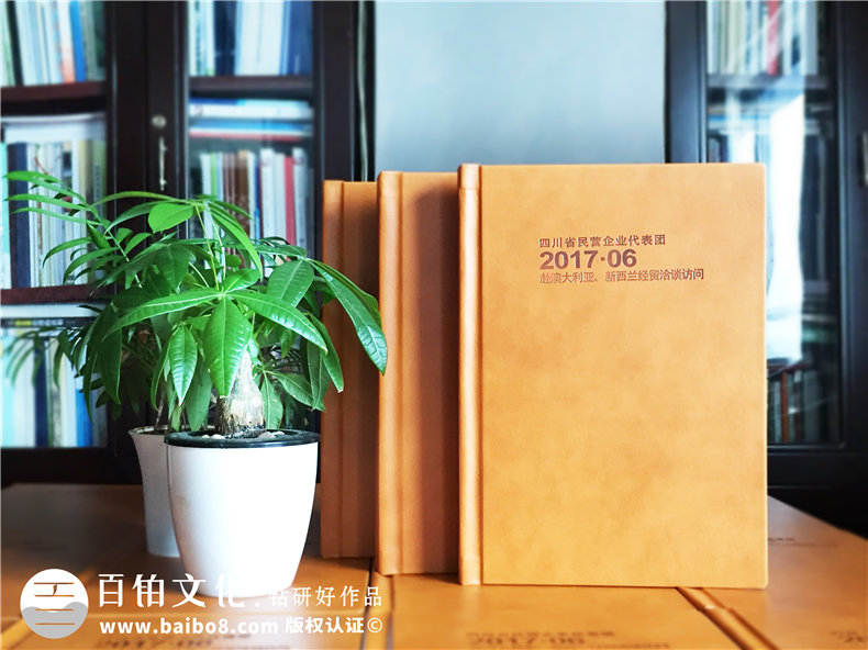 企業(yè)代表團出國考察紀念冊定制-培訓(xùn)學(xué)習留念相冊