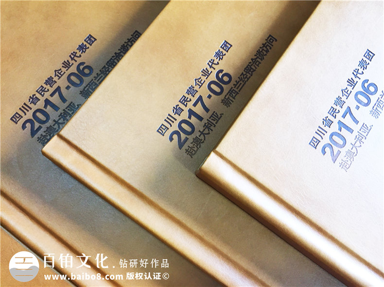 企業(yè)代表團出國考察紀念冊定制-培訓(xùn)學(xué)習留念相冊