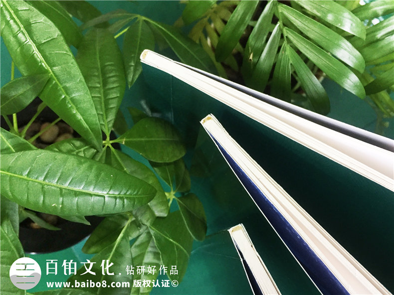 公司培訓(xùn)紀念冊-企業(yè)活動相冊制作-碧桂園地產(chǎn)