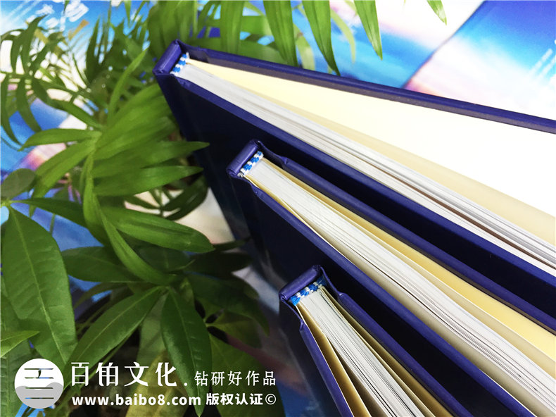 企業(yè)團隊活動紀念冊設計-公司年度總結(jié)相冊制作
