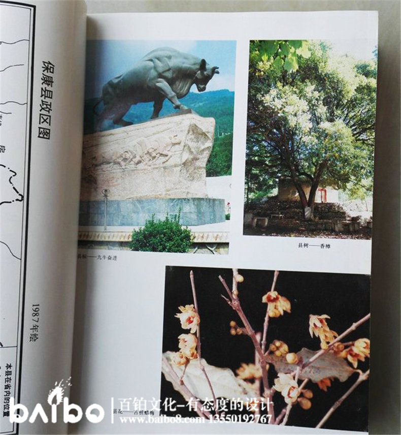 成都縣志地方志鑒裝訂印制-?？悼h志實例鑒賞