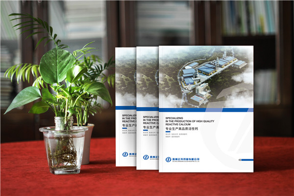 活性鈣生產廠家宣傳冊設計-鈣業(yè)公司畫冊制作