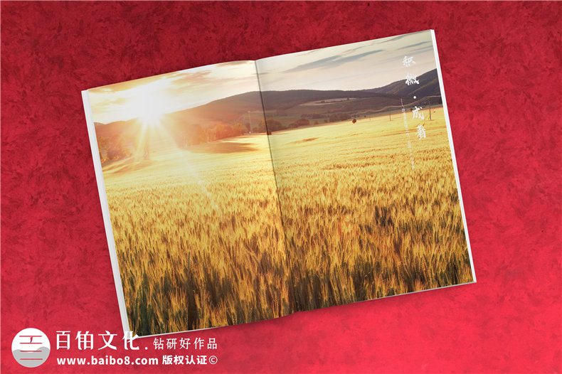 智能科技信息技術(shù)公司畫冊(cè)設(shè)計(jì)-智慧城市產(chǎn)品宣傳冊(cè)彩頁(yè)