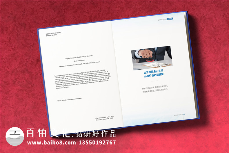 【企業(yè)資質(zhì)手冊(cè)】 公司簡(jiǎn)介畫冊(cè)設(shè)計(jì)制作 企業(yè)介紹宣傳冊(cè)排版