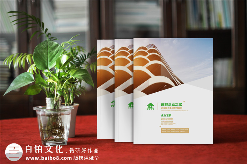 企業(yè)服務(wù)公司宣傳冊(cè)制作-財(cái)稅咨詢會(huì)計(jì)服務(wù)公司畫冊(cè)設(shè)計(jì)