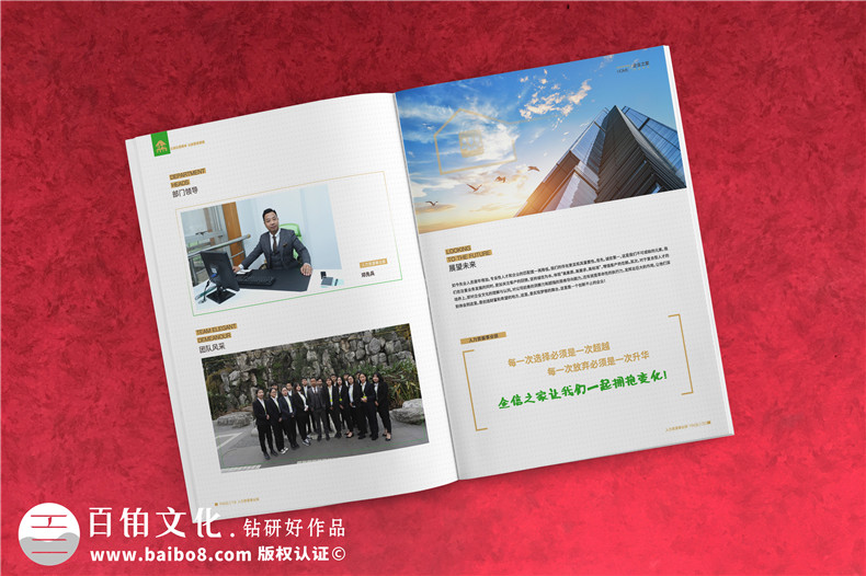 企業(yè)服務(wù)公司宣傳冊(cè)制作-財(cái)稅咨詢會(huì)計(jì)服務(wù)公司畫冊(cè)設(shè)計(jì)