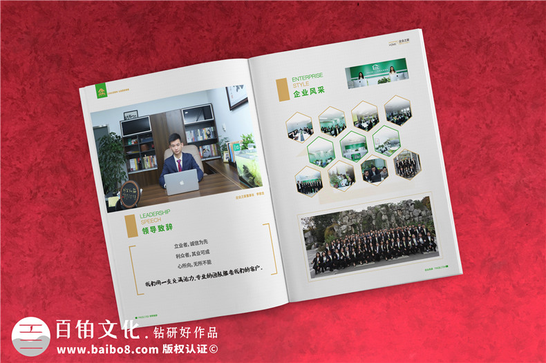 企業(yè)服務(wù)公司宣傳冊(cè)制作-財(cái)稅咨詢會(huì)計(jì)服務(wù)公司畫冊(cè)設(shè)計(jì)