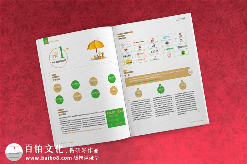 企業(yè)服務(wù)公司宣傳冊(cè)制作-財(cái)稅咨詢會(huì)計(jì)服務(wù)公司畫冊(cè)設(shè)計(jì)