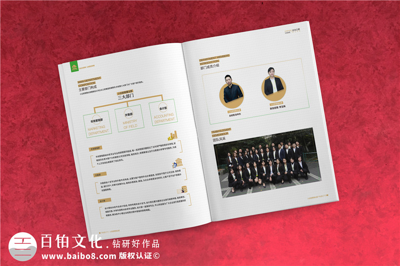 企業(yè)服務(wù)公司宣傳冊(cè)制作-財(cái)稅咨詢會(huì)計(jì)服務(wù)公司畫冊(cè)設(shè)計(jì)