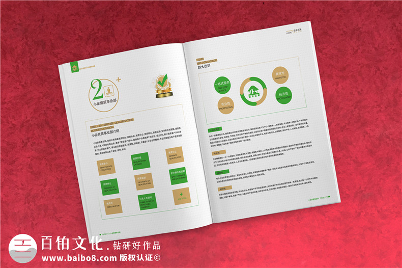 企業(yè)服務(wù)公司宣傳冊(cè)制作-財(cái)稅咨詢會(huì)計(jì)服務(wù)公司畫冊(cè)設(shè)計(jì)