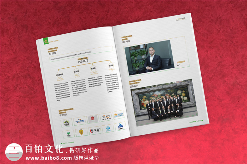 企業(yè)服務(wù)公司宣傳冊(cè)制作-財(cái)稅咨詢會(huì)計(jì)服務(wù)公司畫冊(cè)設(shè)計(jì)