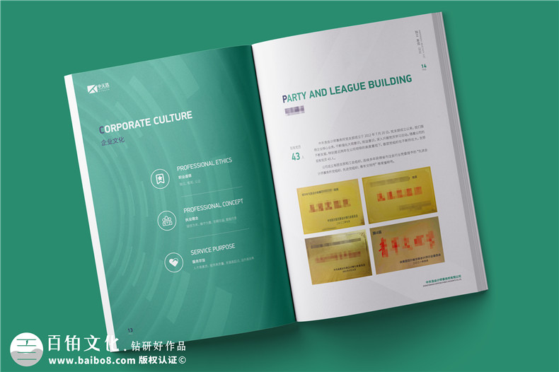 會(huì)計(jì)師事務(wù)所宣傳冊設(shè)計(jì)怎么做-審計(jì)咨詢公司簡介畫冊制作案例