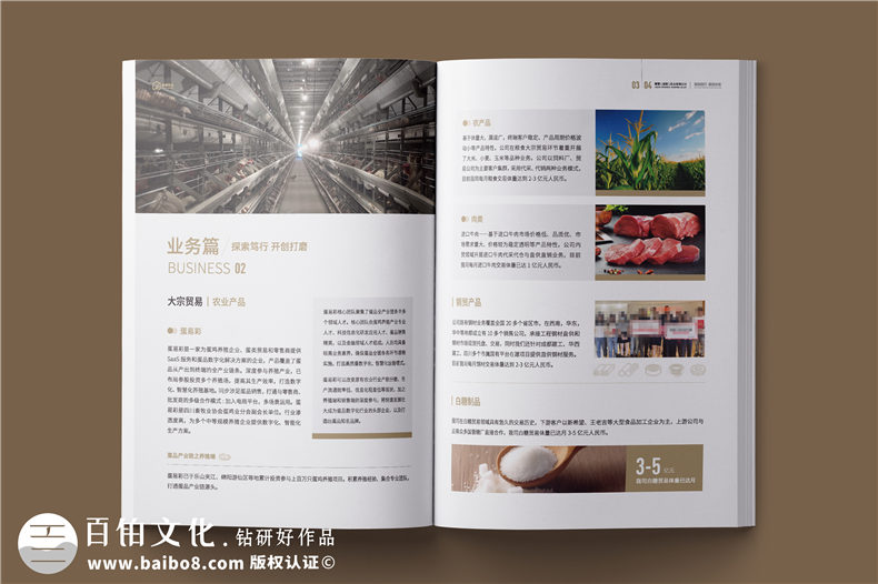 外貿(mào)企業(yè)宣傳冊-供應(yīng)鏈服務(wù)實(shí)業(yè)公司畫冊設(shè)計(jì)