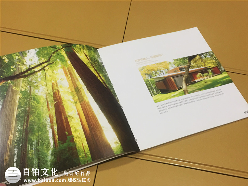 辰銘·柏易生態(tài)木業(yè)產品宣傳畫冊-公司畫冊制作