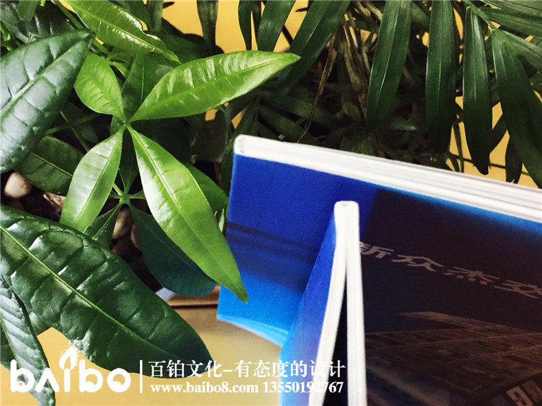 標(biāo)識(shí)加工制作產(chǎn)品宣傳畫(huà)冊(cè)設(shè)計(jì)-公司畫(huà)冊(cè)制作