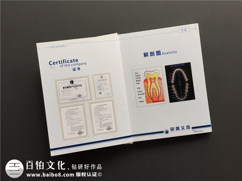 加工生產(chǎn)義齒的廠(chǎng)家宣傳手冊(cè)定制-企業(yè)畫(huà)冊(cè)設(shè)計(jì)