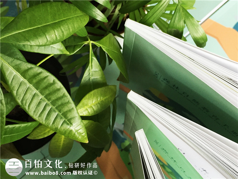 景區(qū)宣傳畫冊(cè)內(nèi)頁版式設(shè)計(jì)-旅游景點(diǎn)森林自然資源教育手冊(cè)怎么做?