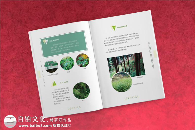 景區(qū)宣傳畫冊(cè)內(nèi)頁版式設(shè)計(jì)-旅游景點(diǎn)森林自然資源教育手冊(cè)怎么做?