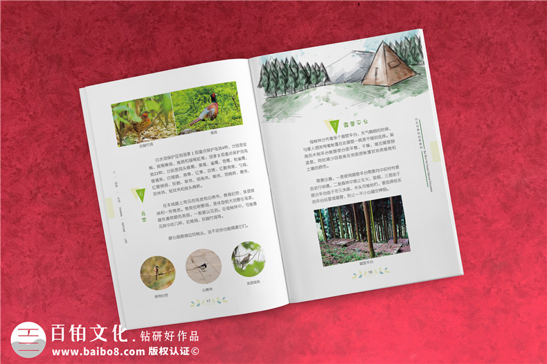 景區(qū)宣傳畫冊(cè)內(nèi)頁版式設(shè)計(jì)-旅游景點(diǎn)森林自然資源教育手冊(cè)怎么做?