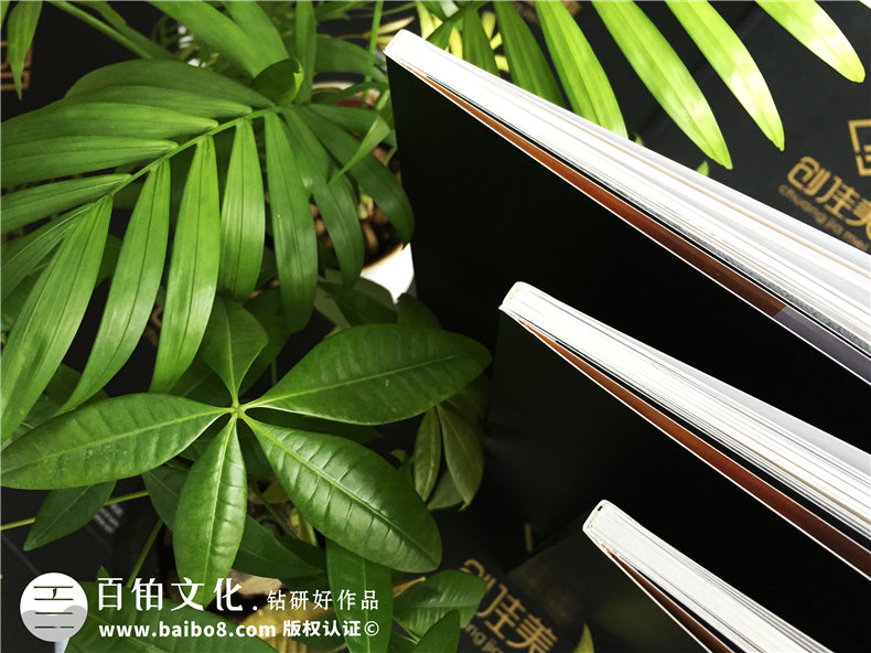鋁合金門(mén)窗廠家做宣傳畫(huà)冊(cè)-業(yè)務(wù)產(chǎn)品介紹宣傳冊(cè)怎么設(shè)計(jì)