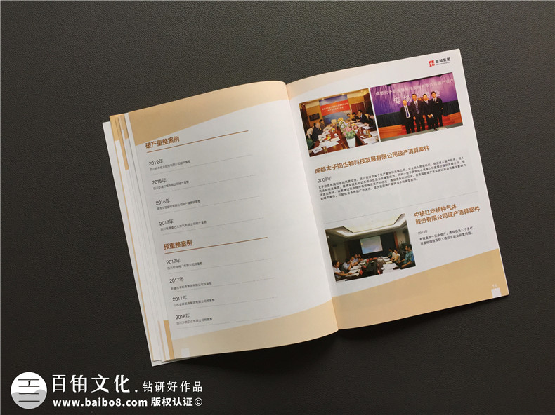 律師事務(wù)所宣傳畫(huà)冊(cè)設(shè)計(jì)-律師團(tuán)隊(duì)企業(yè)簡(jiǎn)介圖冊(cè)案例的內(nèi)容設(shè)計(jì)思路