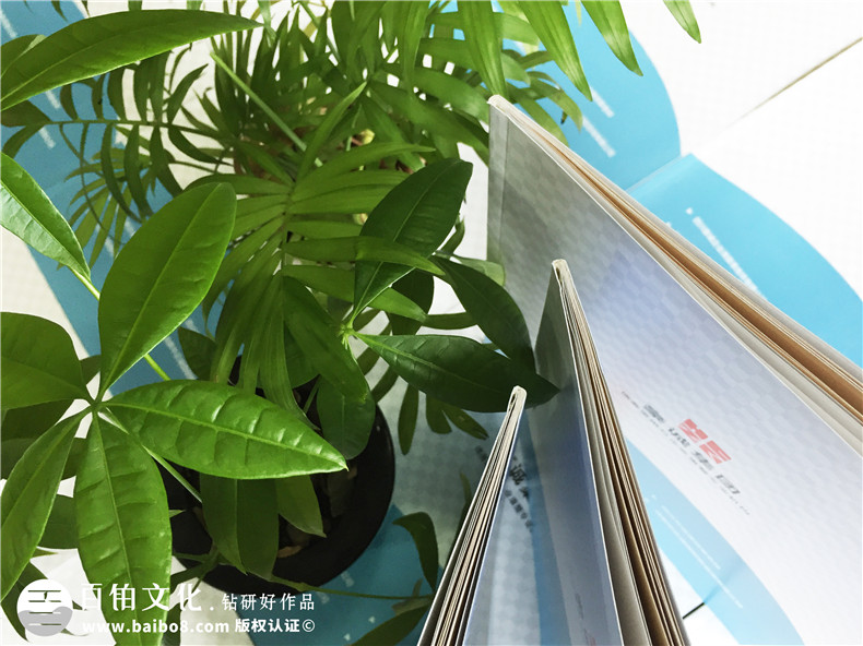 律師事務(wù)所宣傳畫(huà)冊(cè)設(shè)計(jì)-律師團(tuán)隊(duì)企業(yè)簡(jiǎn)介圖冊(cè)案例的內(nèi)容設(shè)計(jì)思路