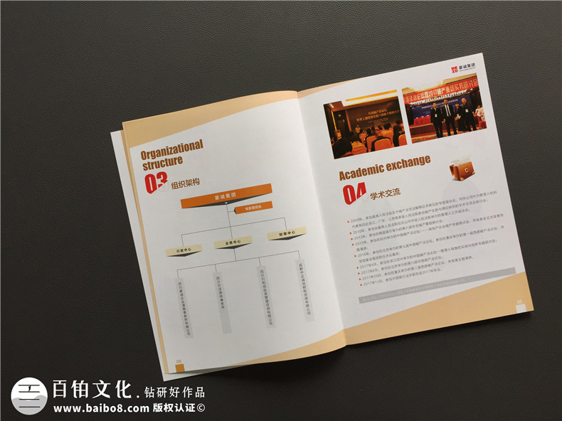 律師事務(wù)所宣傳畫(huà)冊(cè)設(shè)計(jì)-律師團(tuán)隊(duì)企業(yè)簡(jiǎn)介圖冊(cè)案例的內(nèi)容設(shè)計(jì)思路