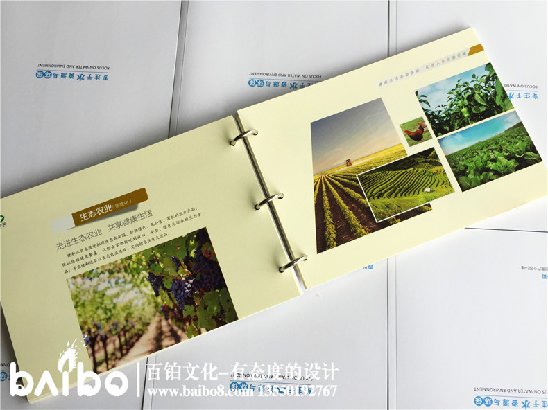 健康管理公司宣傳冊設(shè)計(jì)-養(yǎng)老咨詢服務(wù)畫冊制作