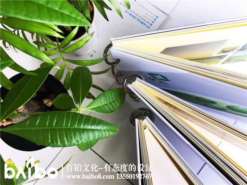 健康管理公司宣傳冊設(shè)計(jì)-養(yǎng)老咨詢服務(wù)畫冊制作