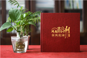 師恩難忘，歲月留痕-女導師退休紀念冊,春風化雨