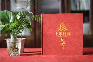 珍藏記憶，感恩同行——鎮(zhèn)領導調任紀念冊