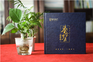 時光影像，情誼永恒——資產管理公司領導調任留念相冊