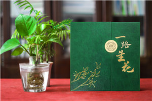 【高端定制?領袖印記】精裝領導紀念冊 —— 鐫刻時光，鑄就榮耀