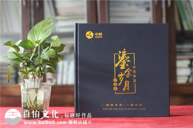 領(lǐng)導(dǎo)工作相冊設(shè)計-重溫工作美好喚起團隊奮斗回憶