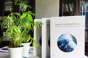 企業(yè)畫冊(cè)設(shè)計(jì)方法分享 專業(yè)的畫冊(cè)設(shè)計(jì)公司致力于提升企業(yè)品牌！