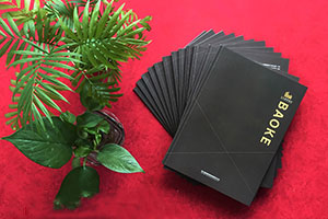 成都畫冊(cè)設(shè)計(jì)公司 具有專業(yè)的畫冊(cè)創(chuàng)意設(shè)計(jì)方向！