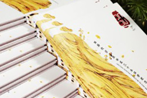 聚會紀(jì)念冊之個(gè)性同學(xué)錄紀(jì)念冊設(shè)計(jì)