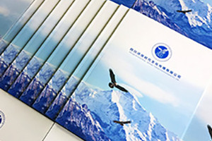 企業(yè)畫冊設計思路、理念有哪些重要的設計原則？