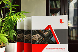 個性畫冊定制設計印刷 畫冊創(chuàng)意設計有方法！
