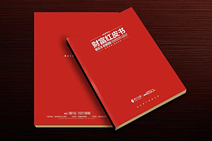 房地產(chǎn)宣傳冊設計 制作精美的房產(chǎn)畫冊宣傳企業(yè)形象