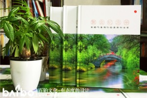 同學(xué)聚會紀(jì)念冊內(nèi)容設(shè)計 應(yīng)該放入哪些板塊,放入哪些紀(jì)念冊內(nèi)容？
