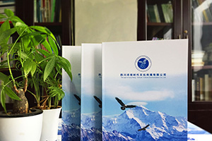 企業(yè)宣傳冊(cè)設(shè)計(jì)的兩大設(shè)計(jì)方向 找到企業(yè)宣傳冊(cè)設(shè)計(jì)的正確方法！